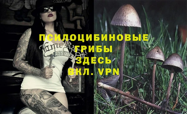 спиды Баксан