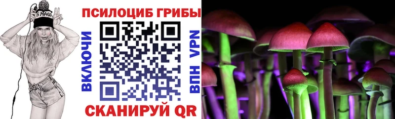 МЕГА ТОР Лебедянь Галлюциногенные грибы Psilocybine cubensis где купить наркоту